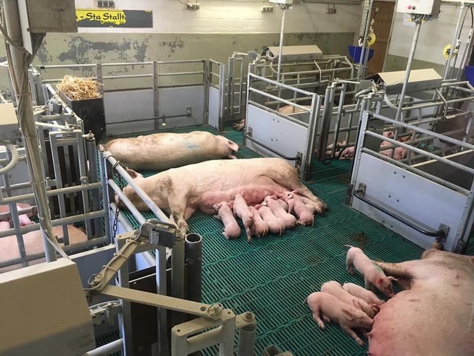 Besuch im Lehr- und Versuchszentrum Futterkamp